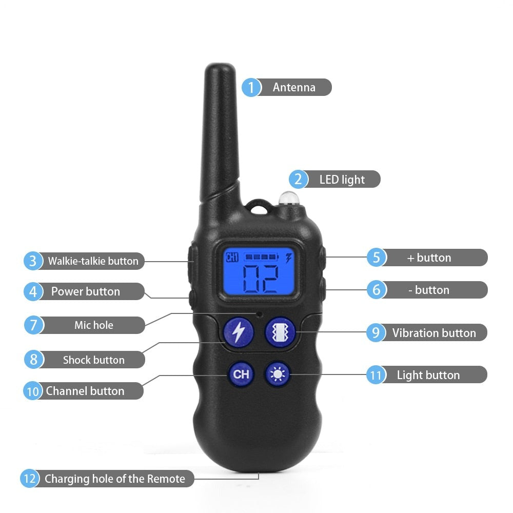 dog-training-collar.jpg