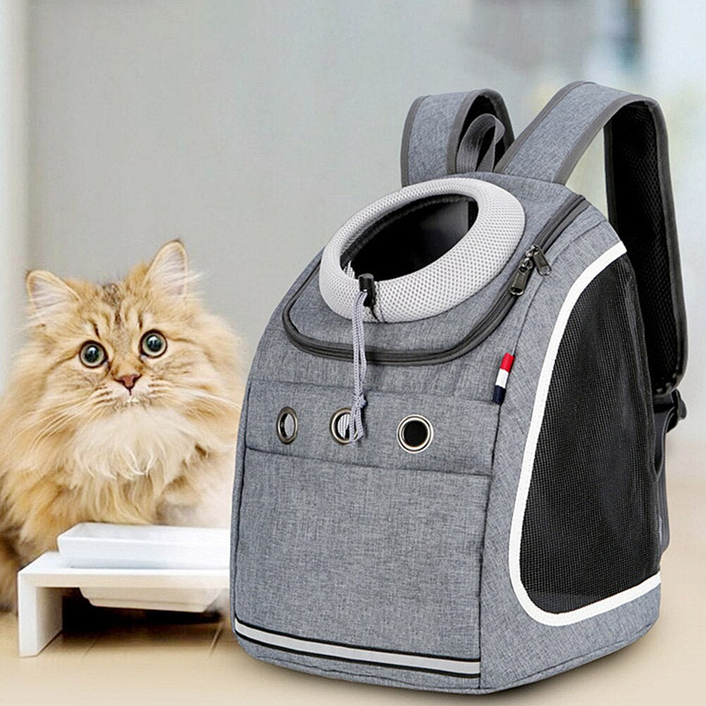 backpack-for-dogs.jpg