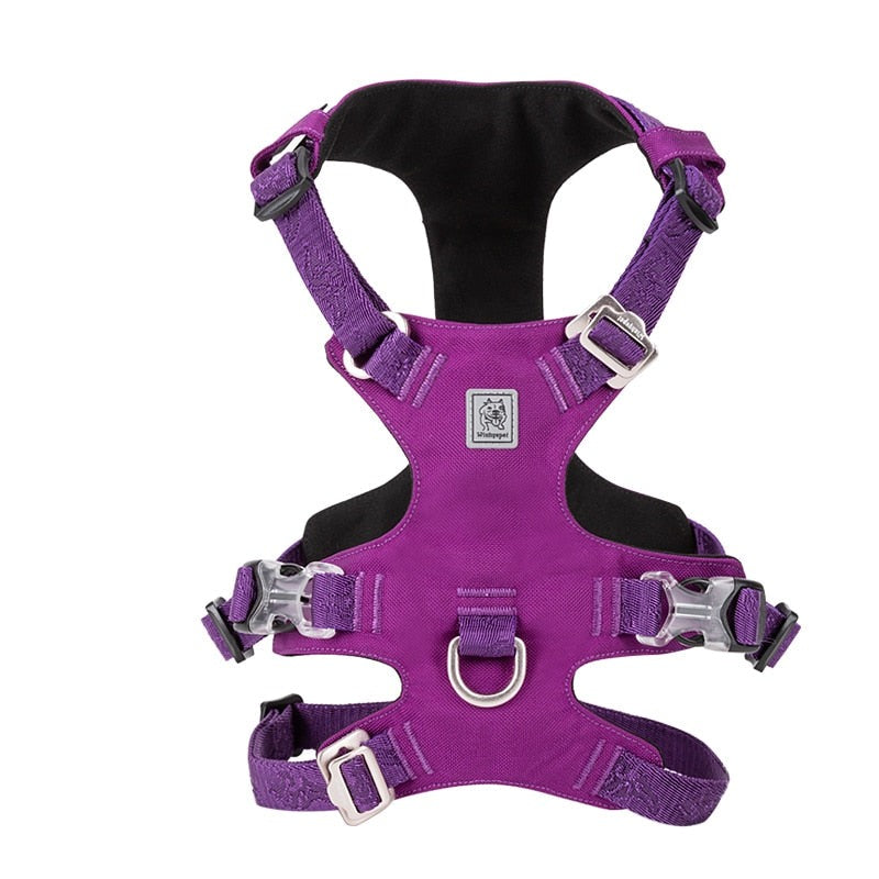 pet-nylon-harness.jpg