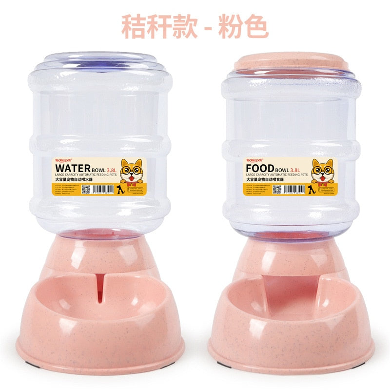 Cat Automatic Feeder - COOLCrown Store