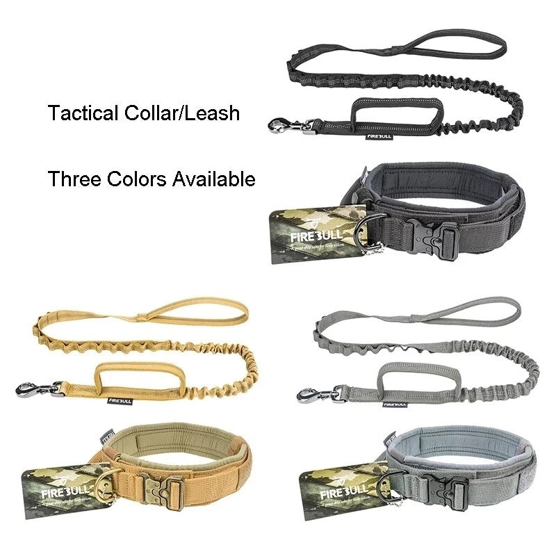 dog-collar-and-leash-set.jpg