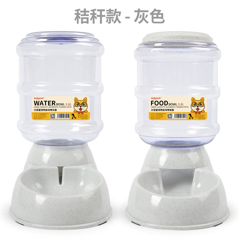 Cat Automatic Feeder - COOLCrown Store