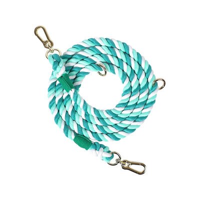 dog-collar-leash-set.jpg