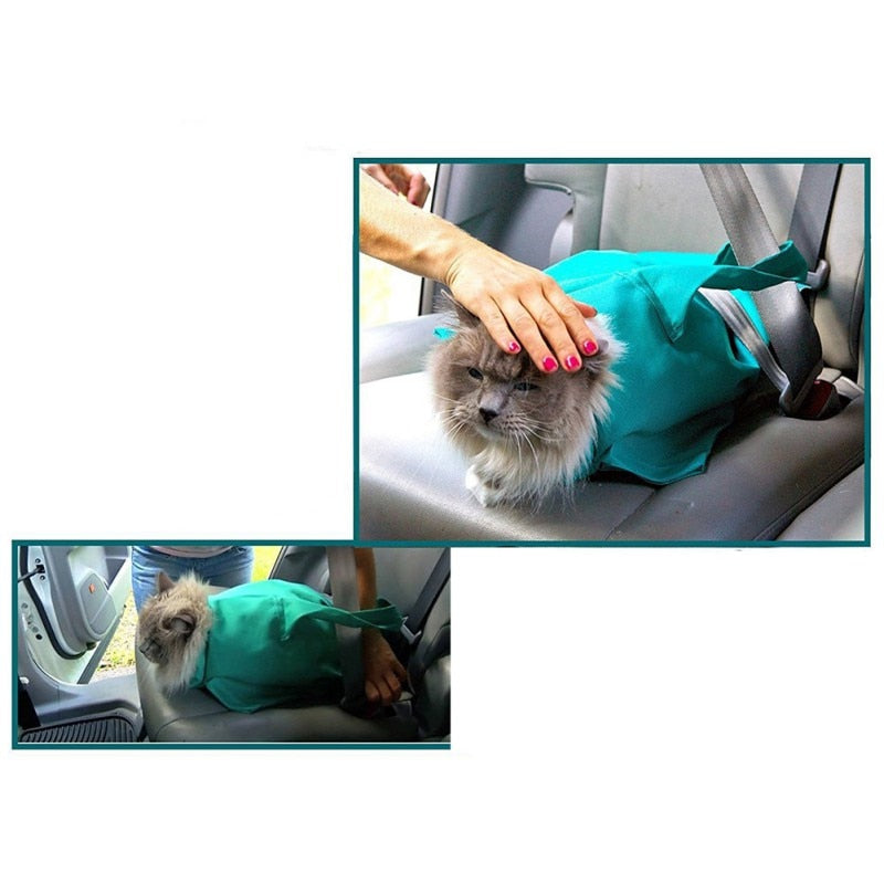 Hands Free Pet Outdoor Travel Sling Carrier For Dogs Cats - COOLCrown Store