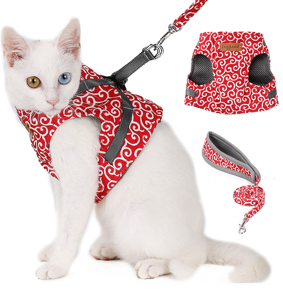 cat-leashes.jpg