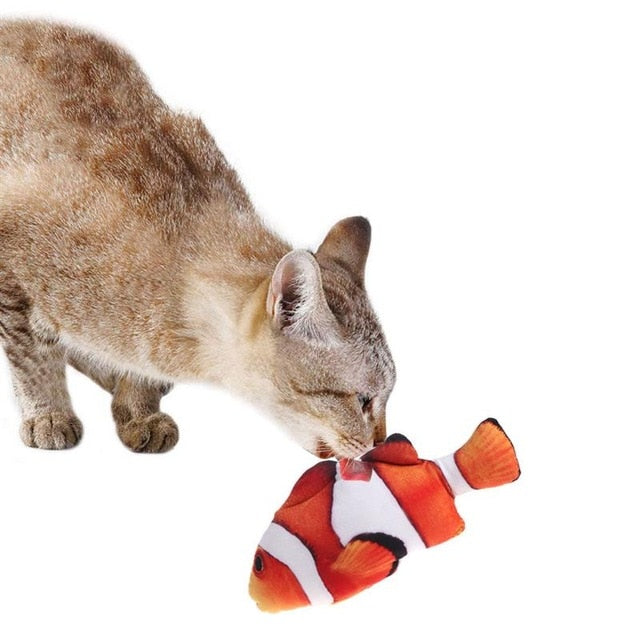 3D Fish Shape Cat Toy - COOLCrown Store