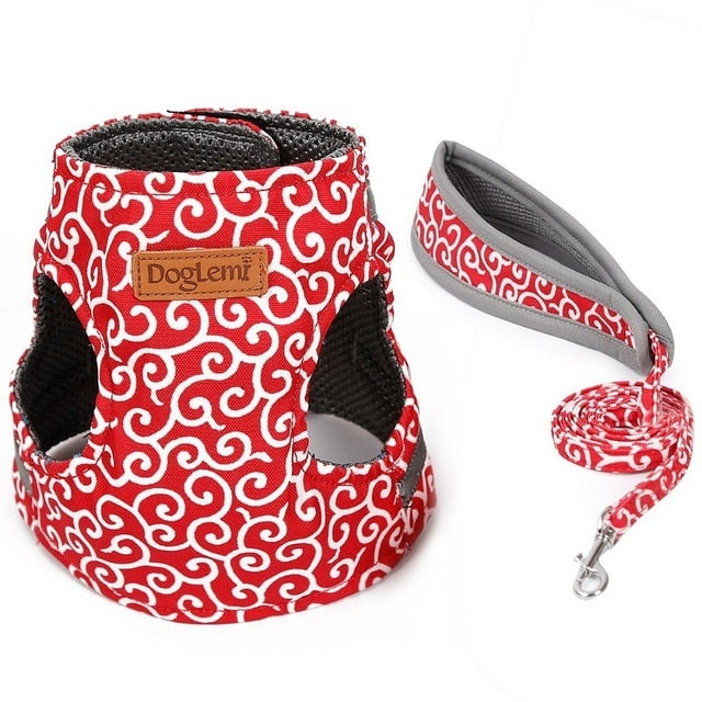 Cat Vest Harness and Leash Set to Outdoor Walking - COOLCrown Store