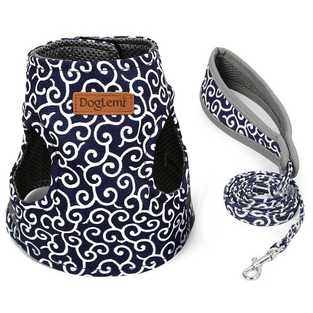 Cat Vest Harness and Leash Set to Outdoor Walking - COOLCrown Store
