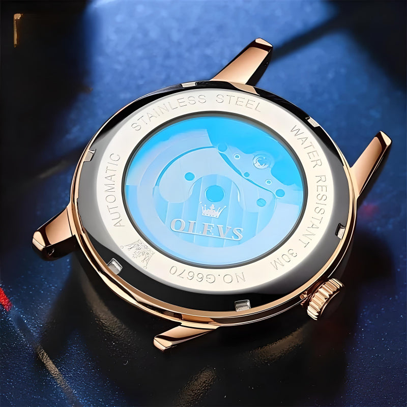 Luxury Men’s Skeleton Automatic Leather Waterproof Mechanical Watch