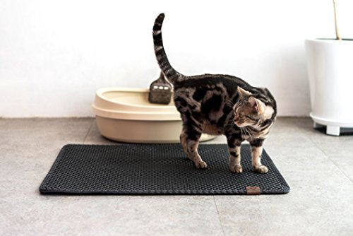 cat-litter-mat.jpg