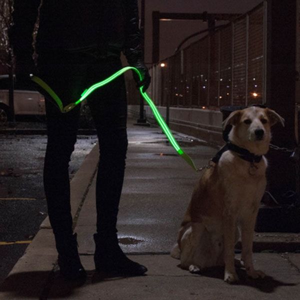 dog-visibility-leash.jpg