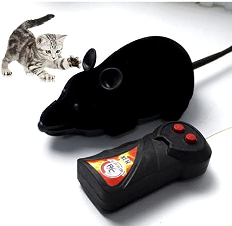 wireless-remote-controlled-toy-mouse.jpg