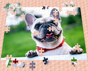 High Quality Wooden Personalized Custom Jigsaw Puzzle - 100 200 300 500 and 1000 Pieces - COOLCrown Store