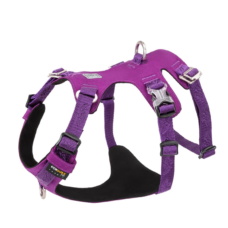 pet-nylon-harness.jpg