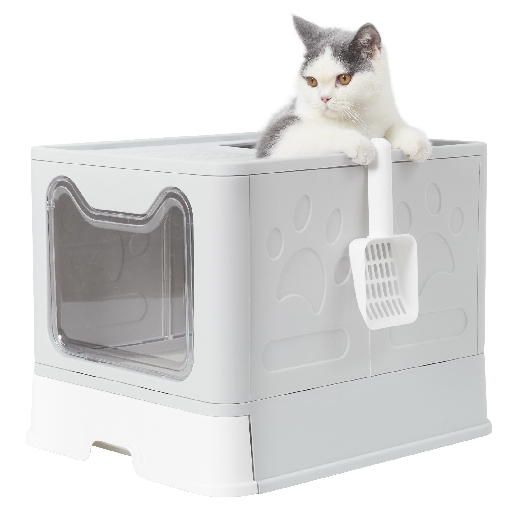 top-entry-cat-litter-box.jpg