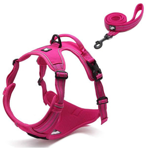 No Pull Dog Harness - COOLCrown Store