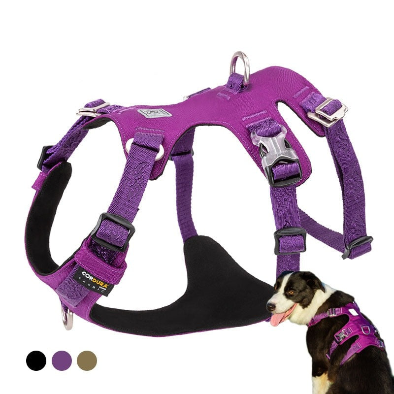 waterproof-dog-harness.jpg