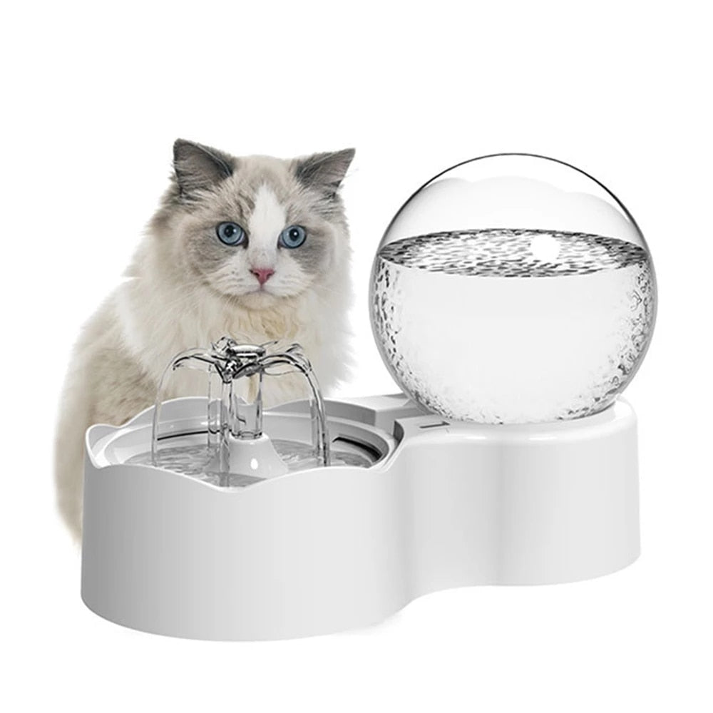 new-cat-water-fountain.jpg