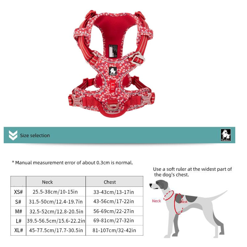 dog-nylon-harness.jpg