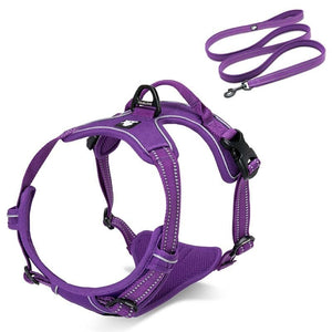 no-pull-dog-harness.jpg