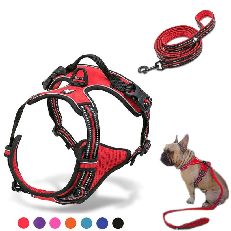 no-pull-dog-harness.jpg