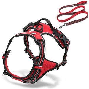 no-pull-dog-harness.jpg