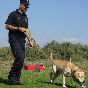 tactical-dog-leash-training-bungee.jpg