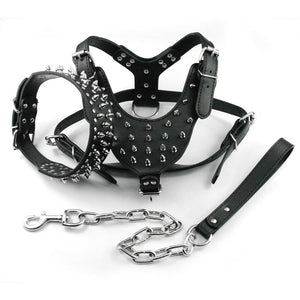 dog-leather-harness-leather.jpg