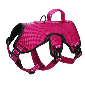 Nylon-Dog-Harness.jpg