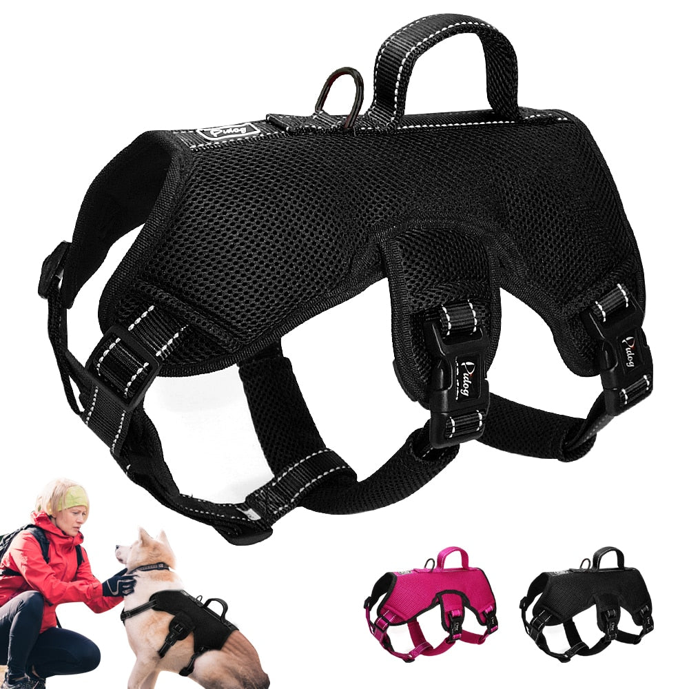 Nylon-Dog-Harness.jpg