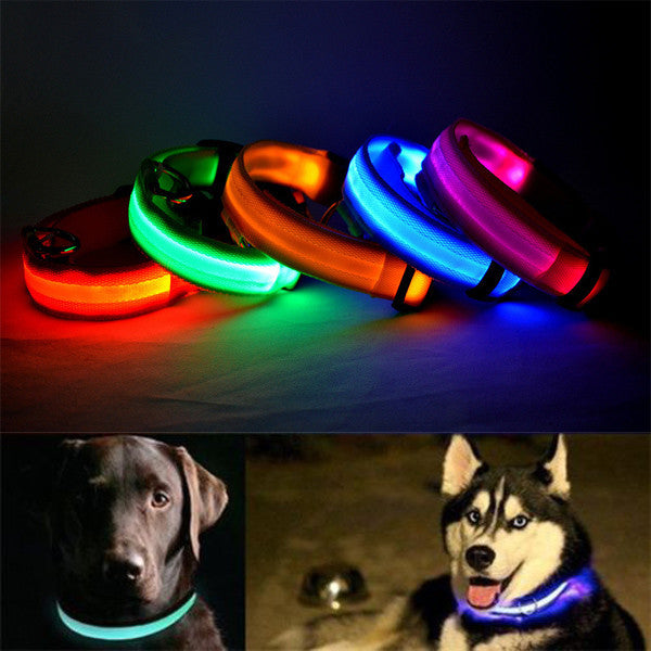 USB Premium Glow In The Dark Led Dog Safety Collar - COOLCrown Store