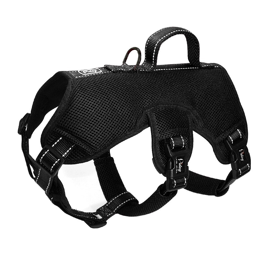 Nylon-Dog-Harness.jpg