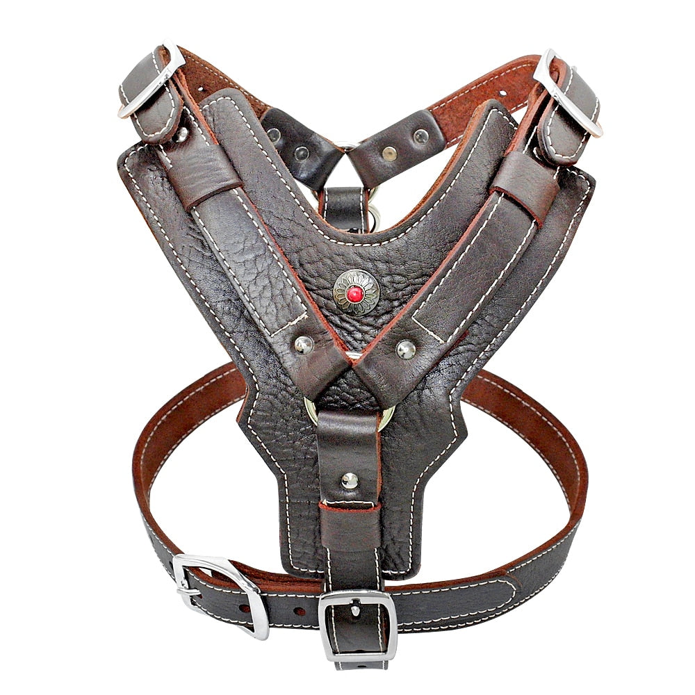 durable-dog-harness.jpg