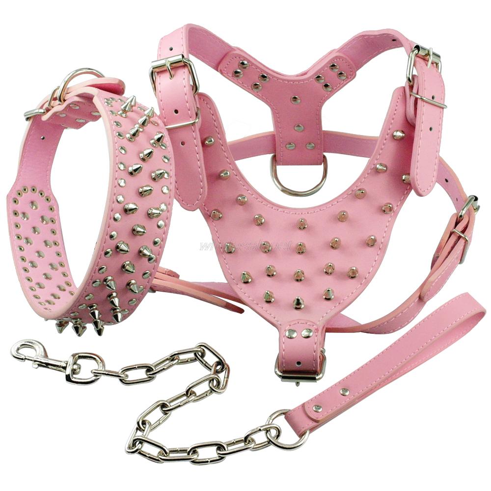 dog-leather-harness-leather.jpg