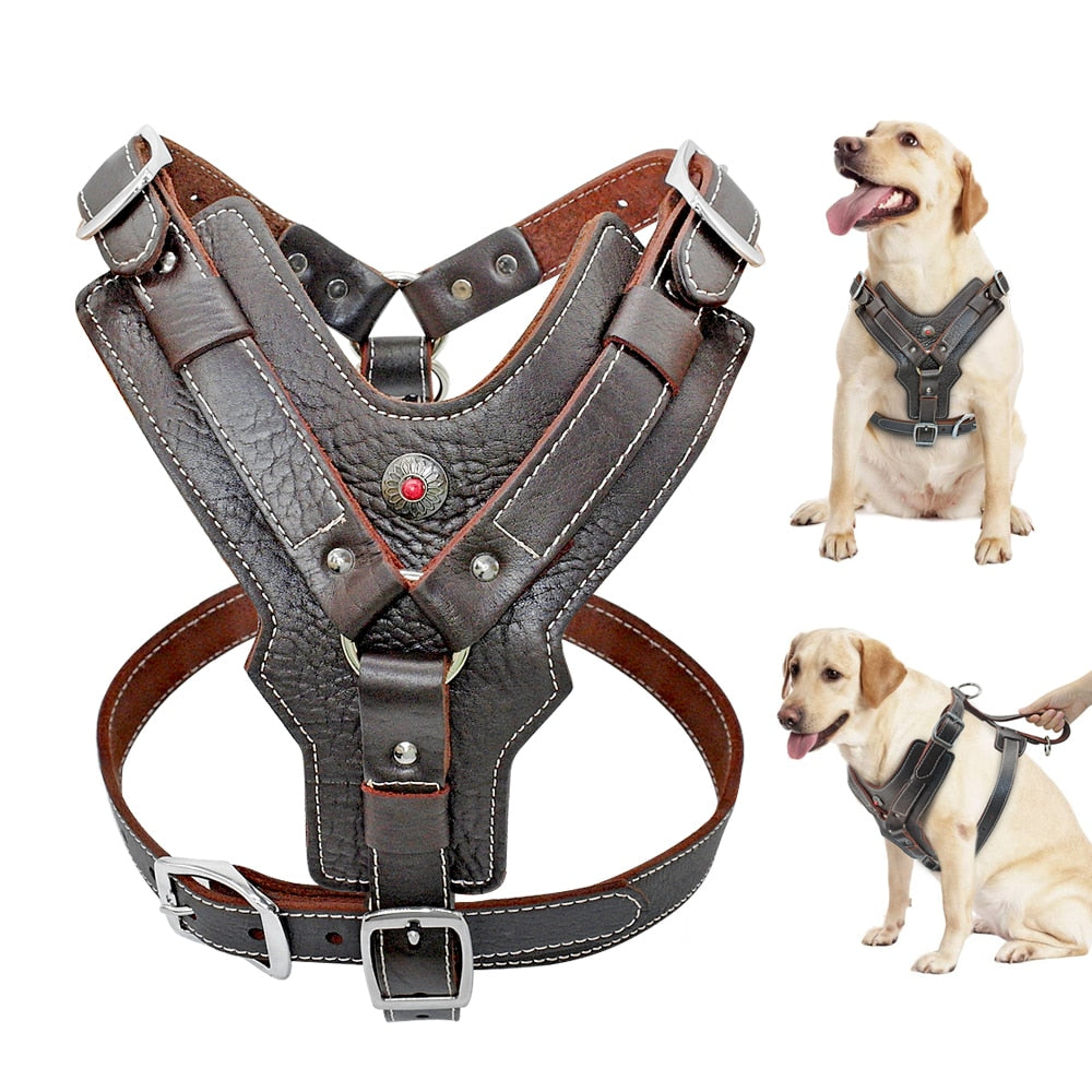 durable-dog-harness.jpg