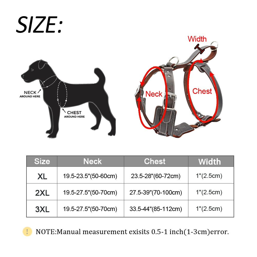 durable-dog-harness.jpg