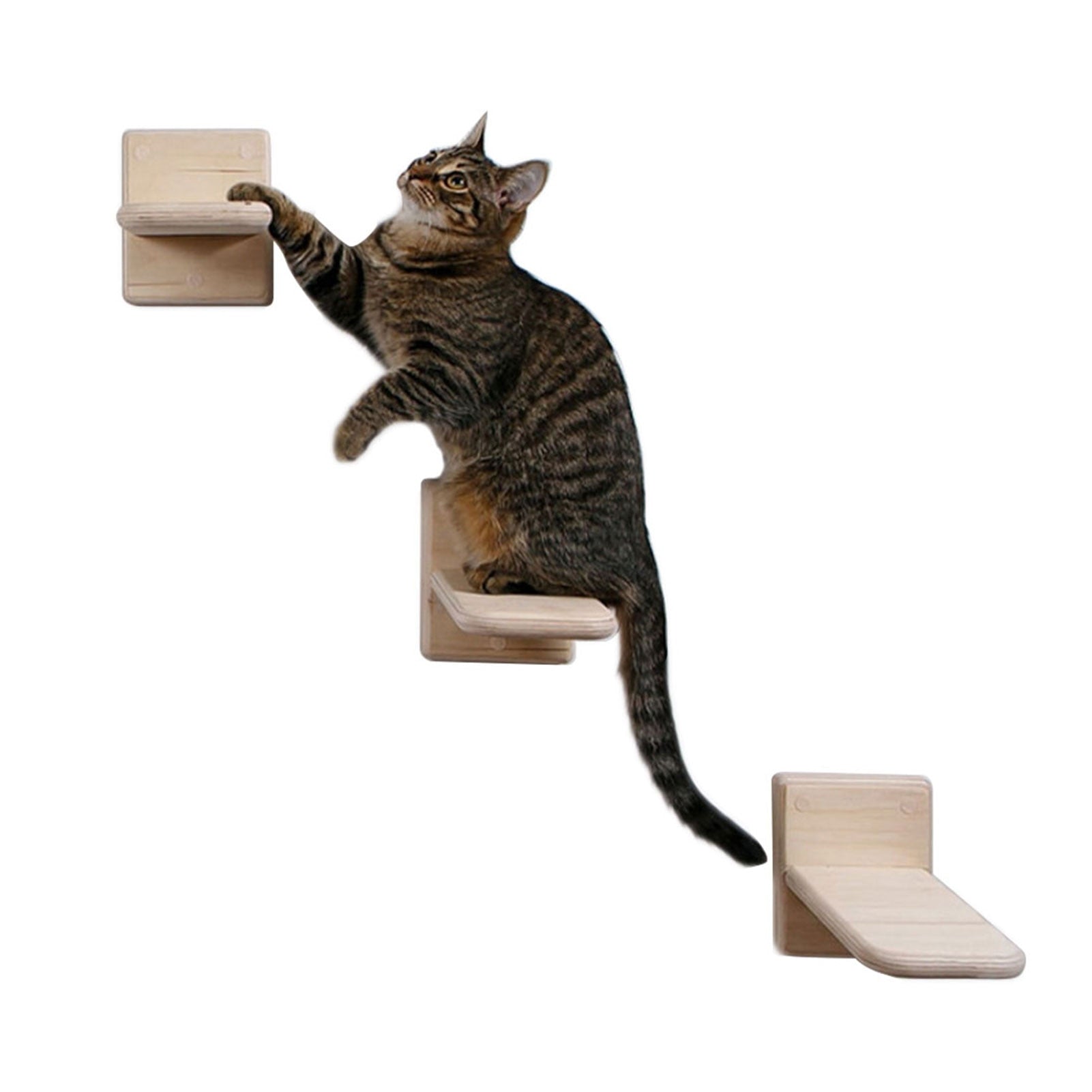 3pcs-cat-wall-mounted-ladder.jpg