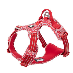 dog-nylon-harness.jpg