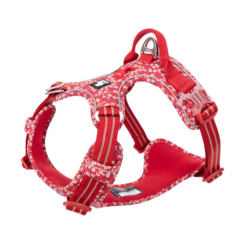 dog-nylon-harness.jpg