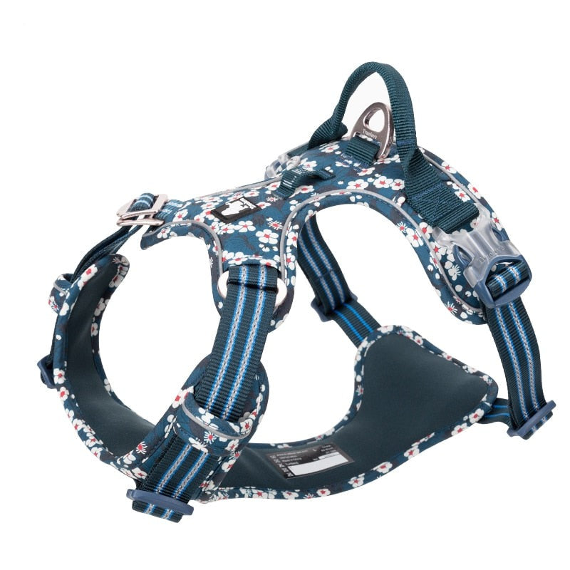 dog-nylon-harness.jpg