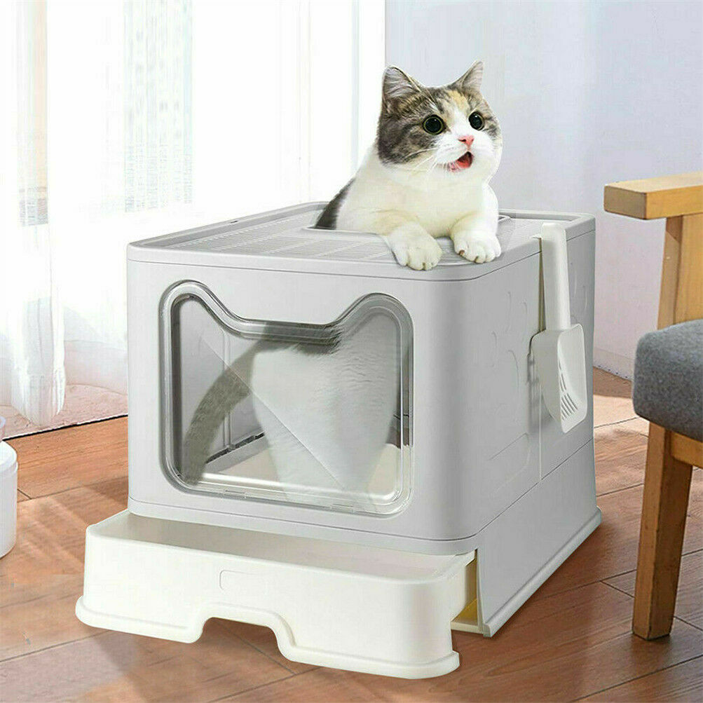 top-entry-cat-litter-box.jpg