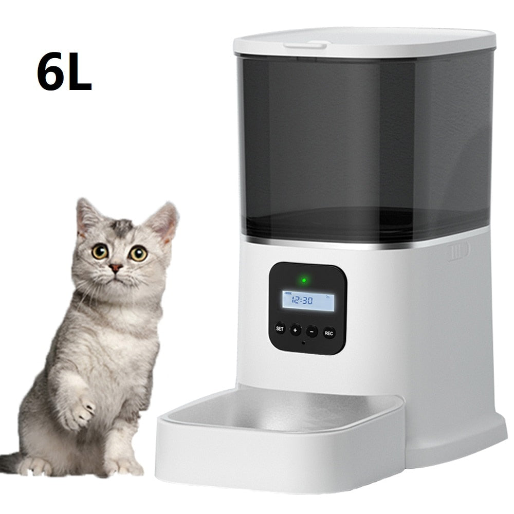 automatic-pet-feeder.jpg