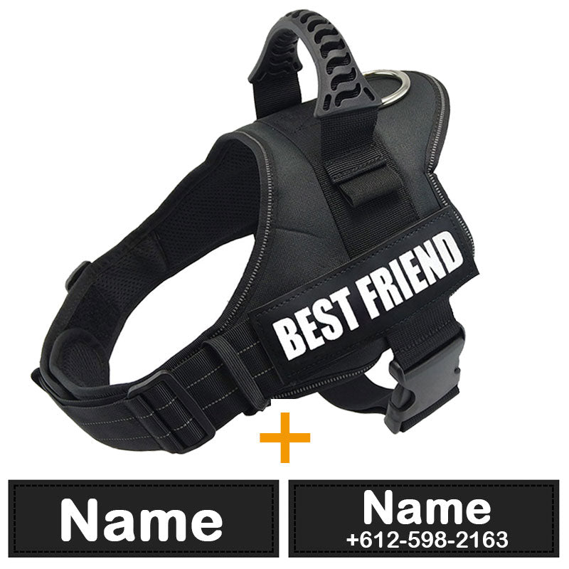 dog-diy-harness.jpg