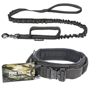 dog-collar-and-leash-set.jpg