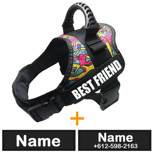 dog-diy-harness.jpg