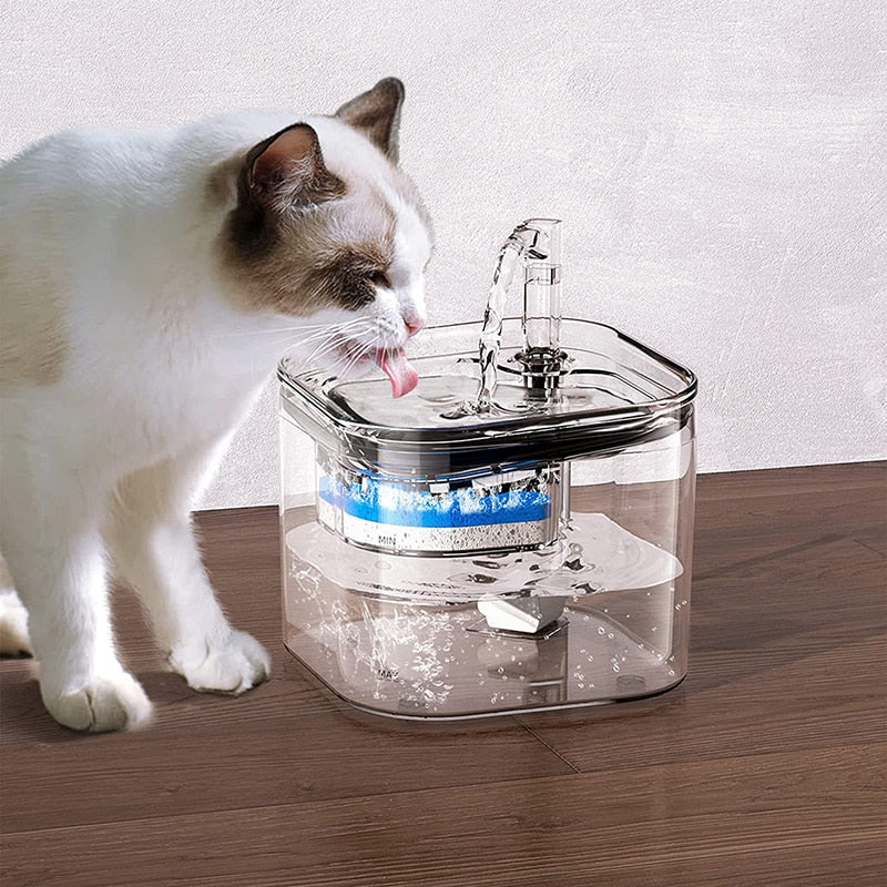 new-cat-water-fountain.jpg