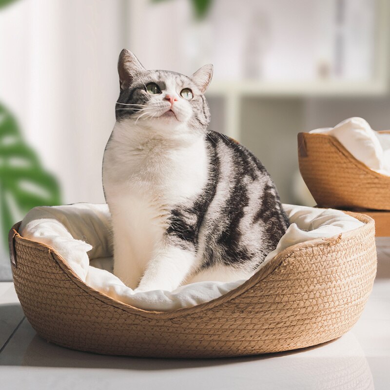 cat-waterproof-removable-cushion-bag.jpg