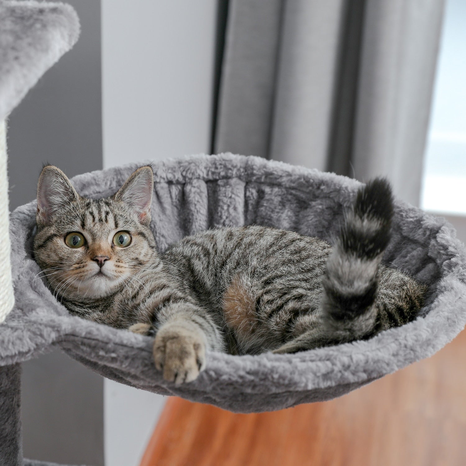 Large 63 inches Sturdy Cat Tree - COOLCrown Store