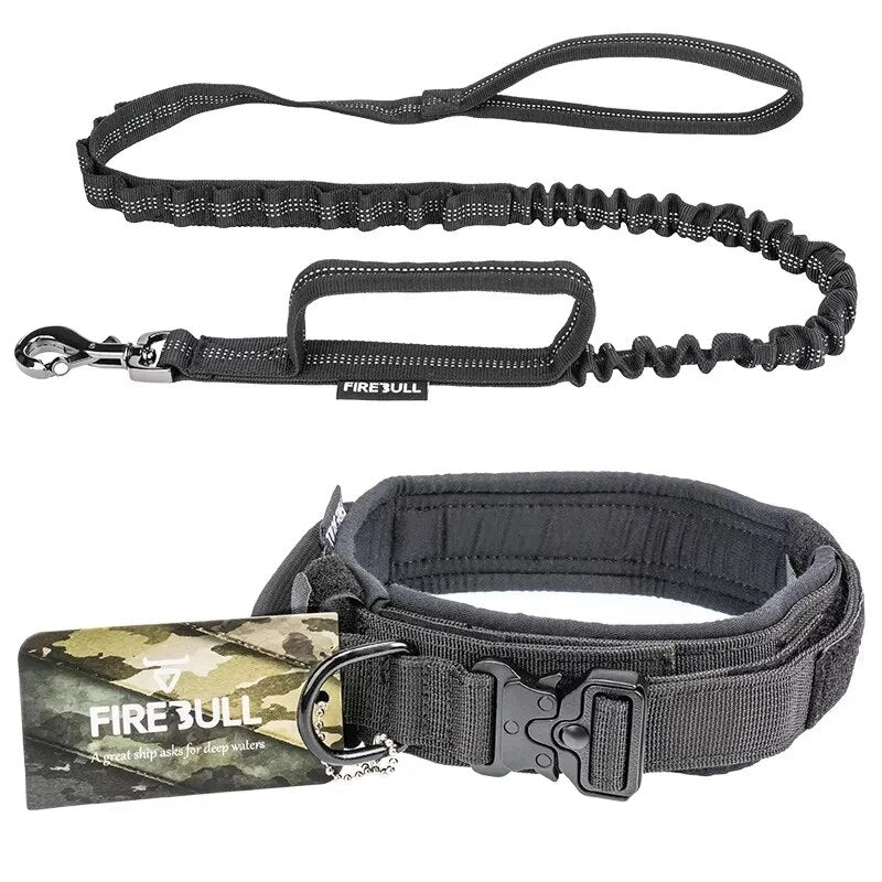 dog-collar-and-leash-set.jpg