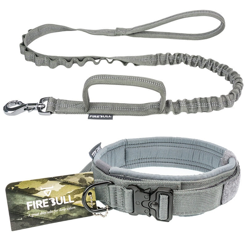 dog-collar-and-leash-set.jpg